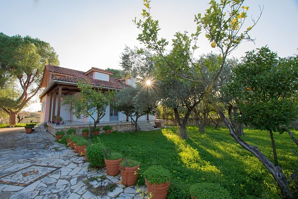 Ilenias House - Laganas Zante Greece